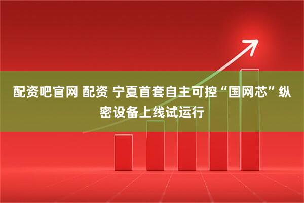 配资吧官网 配资 宁夏首套自主可控“国网芯”纵密设备上线试运行