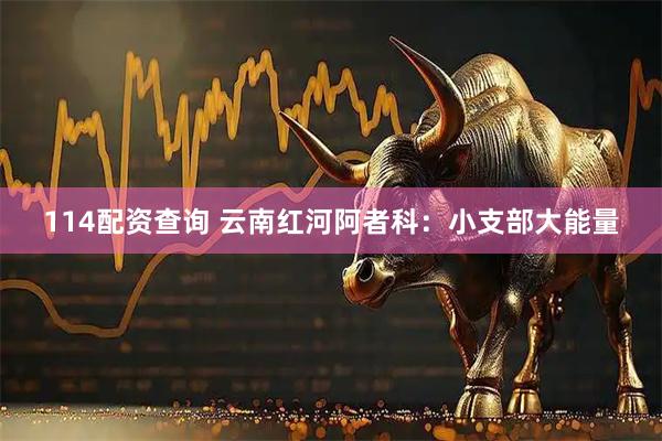 114配资查询 云南红河阿者科：小支部大能量